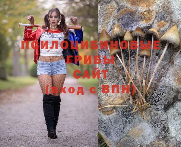 ПСИЛОЦИБИНОВЫЕ ГРИБЫ Волоколамск
