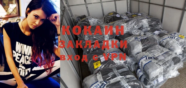 индика Волосово