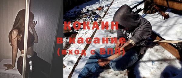 индика Волосово