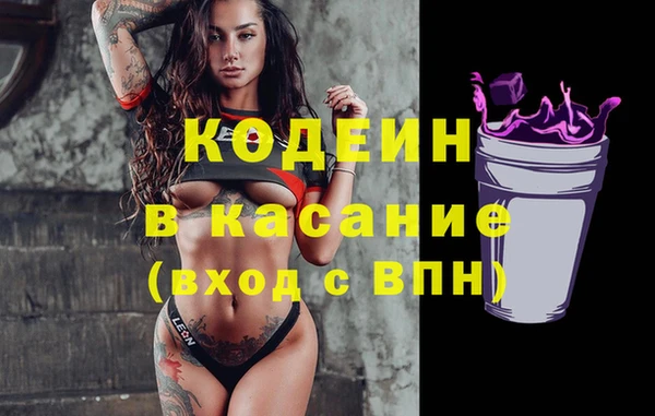 индика Волосово