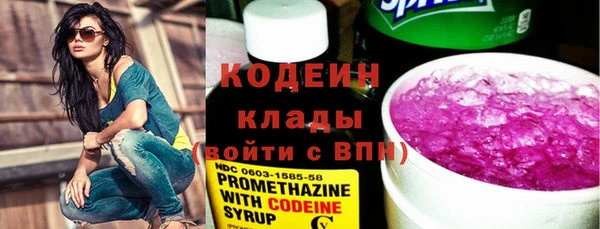индика Волосово
