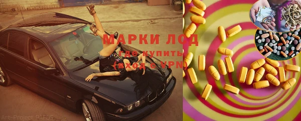 индика Волосово