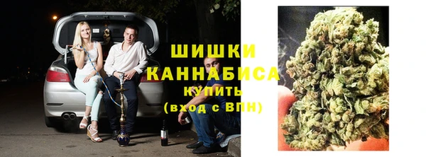 индика Волосово