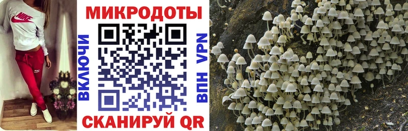 Галлюциногенные грибы прущие грибы  Купить  Белая Калитва 